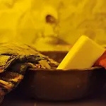 Hotel The Golden Pera's & Istambul